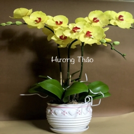Hoa dat Hồ Điệp vàng HT (H55cm)