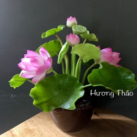 Hoa dat Sen hồng HT (H30cm)