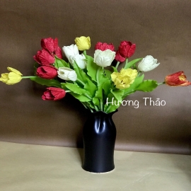 Hoa dat Tulip