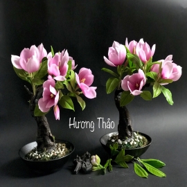 Hoa dat Mộc Lan bonsai ( H28cm)