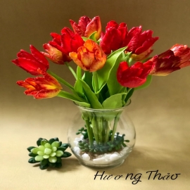 Hoa dat Tulip cam lửa ( H40cm)