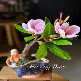 Hoa dat Mộc Lan bonsai ( H28cm)