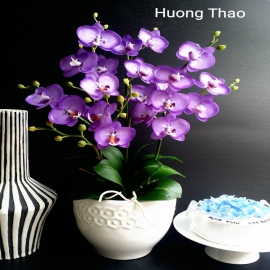 Hoa dat Hồ điệp tím cà ( H50cm)