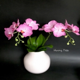 Hoa dat Hồ điệp hồng tím 1  ( 2 cành H40cm)