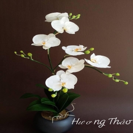 Hoa dat Hồ điệp trắng ( hoa nhỏ vừa H32cm)