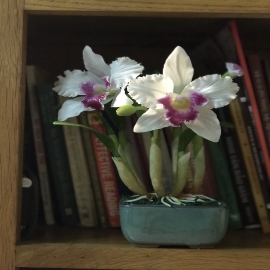 Hoa dat Lan Cattleya trắng tím 0820 ( 2 hoa , H25cm )