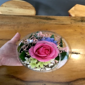 Hoa dat Cầu treo thuỷ tinh hoa hồng  0820 ( H25cm)