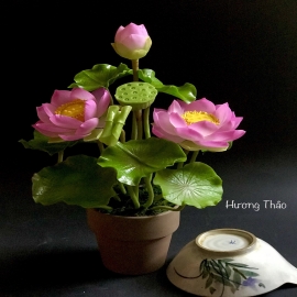Hoa dat Sen Hồng  0820 ( 2 hoa, bình đất nung H 30cm)