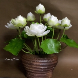 Hoa dat Sen trắng bình gốm nâu lớn  0820 ( H40cm)