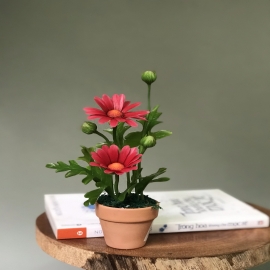 Hoa dat Cúc đỏ mini 0820 ( H15cm)