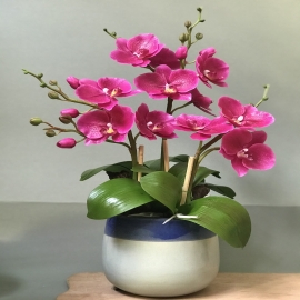 Hoa dat Hồ Điệp tím (9.20) H 45 cm