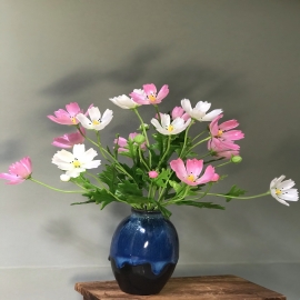 Hoa dat Sao nháy hồng trắng 10.20 ( H35cm)