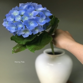 Hoa dat Tú cầu xanh (10.20) H45 cm