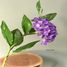 Hoa dat Tú cầu Tím (10.20) H45cm