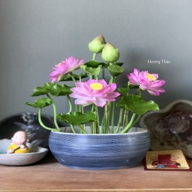 Hoa dat Hoa Sen hồng ( 3Hoa - BD  , ĐK 6cm ) 