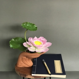Hoa dat Sen hồng - bàn tay ( 2021)