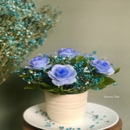 Hoa dat Hoa hồng xanh 