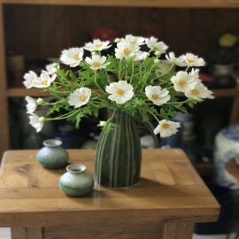 Hoa dat Sao nháy trắng (2020)