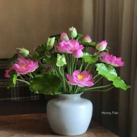 Hoa dat Sen hồng  ( bàn phòng khách)2022